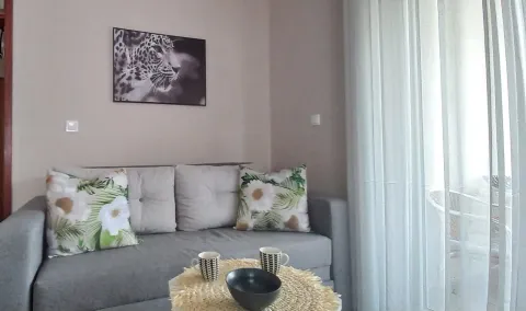 Living room with a grey sofa and decorative pillows. - image 9