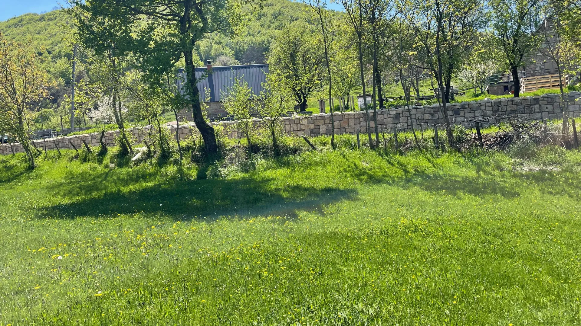 Prodaja, plac, 15000m², Donja Brezna, Plužine