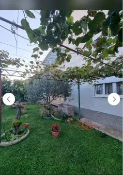 Uređeno dvorište sa zelenilom i vinovom lozom. - image 3