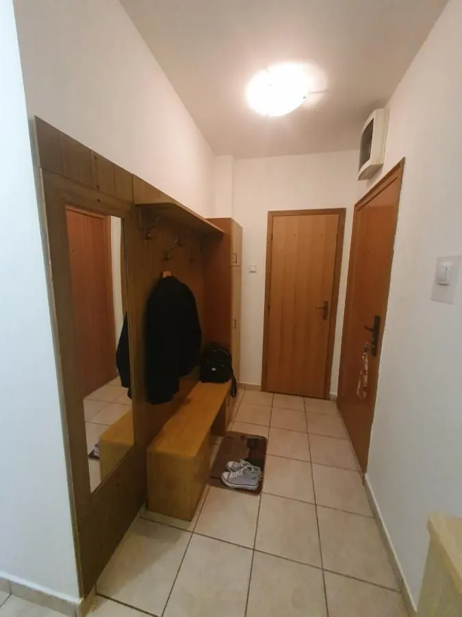 Izdavanje, jednosoban stan, 50m², Bulevar Evrope, Novi Sad Sve Podlokacije