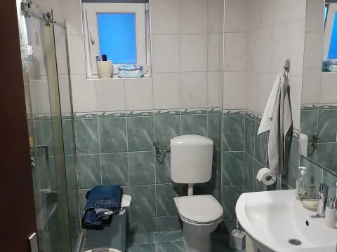 Sale, house, 214m², Veternik, Novi Sad Sve Podlokacije - image 9