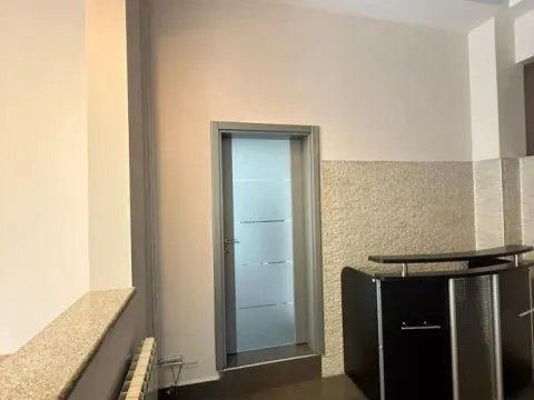 Izdavanje, poslovni prostor, 145m², Južni Bulevar, Vračar Sve Podlokacije - image 12