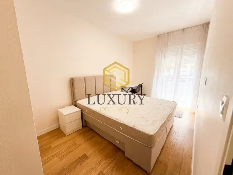 Izdavanje, jednosoban stan, 40m², Central Point, Podgorica - image 9