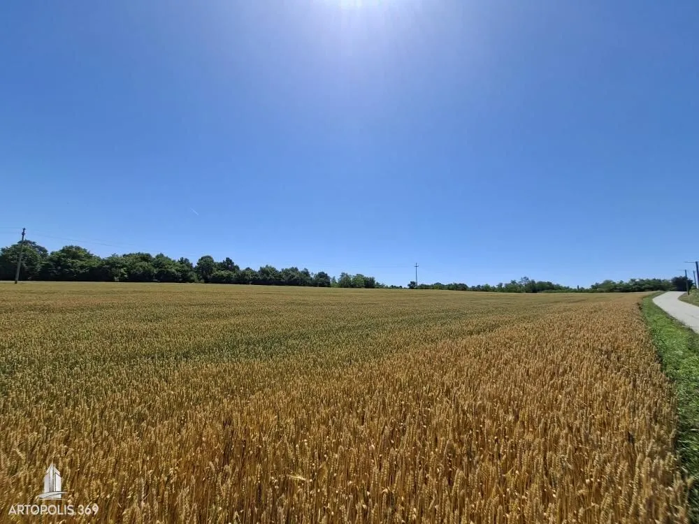 Prodaja, kuća, 70m², Centar, Leskovac