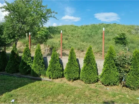 Prodaja, kuća, 345m², Niš, Srbija - image 6