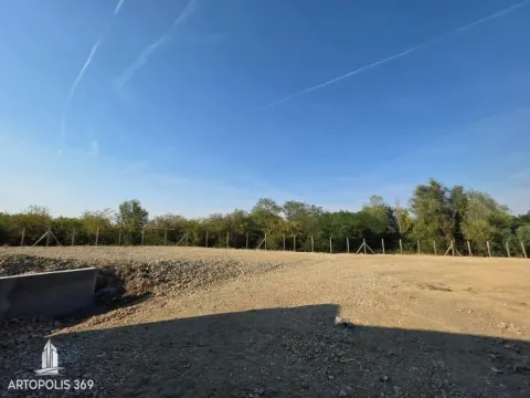 Pogled na ograđeni plac sa rastinjem i plavim nebom. - image 6