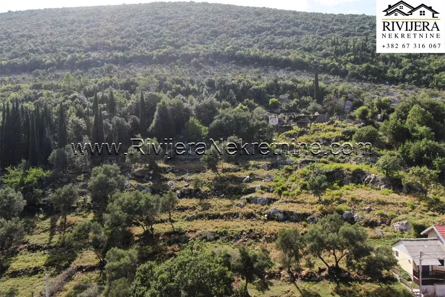 Prodaja, plac, 4323m², Žvinje, Herceg Novi