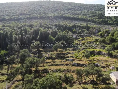 Prodaja, plac, 4323m², Žvinje, Herceg Novi - image 6