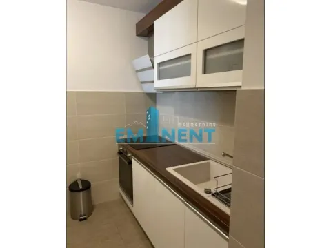 Izdavanje, dvosoban stan, 46m², Zemun Sve Podlokacije, Beograd - image 6