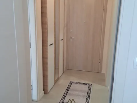 Izdavanje, jednosoban stan, 46m², Central Point, Podgorica - image 9