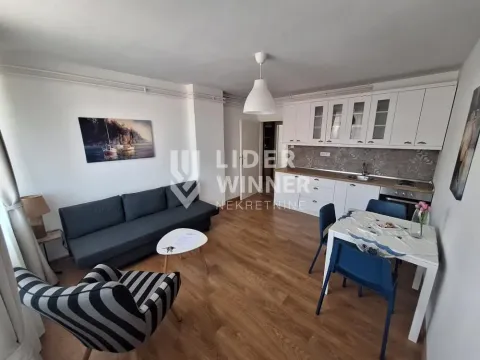 Izdavanje, dvosoban stan, 50m2, Bele Vode, Beograd