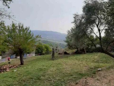 Prodaja, plac, 9000m², Mrčevac, Tivat - image 11