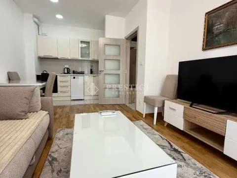 Izdavanje, jednosoban stan, 40m², Zabjelo, Podgorica - image 2