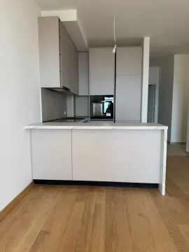 Moderna kuhinja sa ugradnim elementima i šankom. - image 9