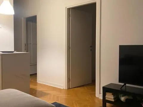 Izdavanje, trosoban stan, 46m², Stari Merkator, Novi Beograd Sve Podlokacije - image 4