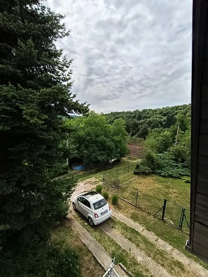 Sale, house, 180m², Sremska Kamenica, Petrovaradin