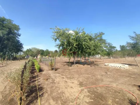 Sale, house, 82m², Kelebija, Subotica - image 17