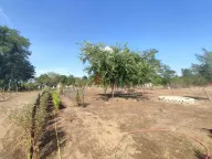 Prodaja, kuća, 82m², Kelebija, Subotica - image 17