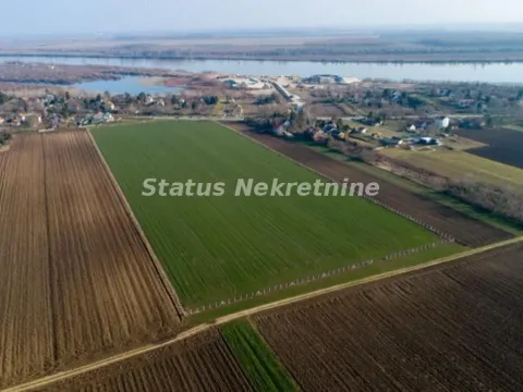 Prodaja, plac, 561m², Stara Pazova, Srbija - image 2