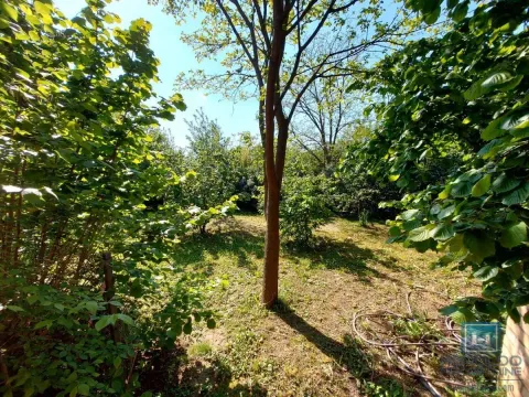 Prodaja, kuća, 120m², Kupusara, Jagodina - image 15