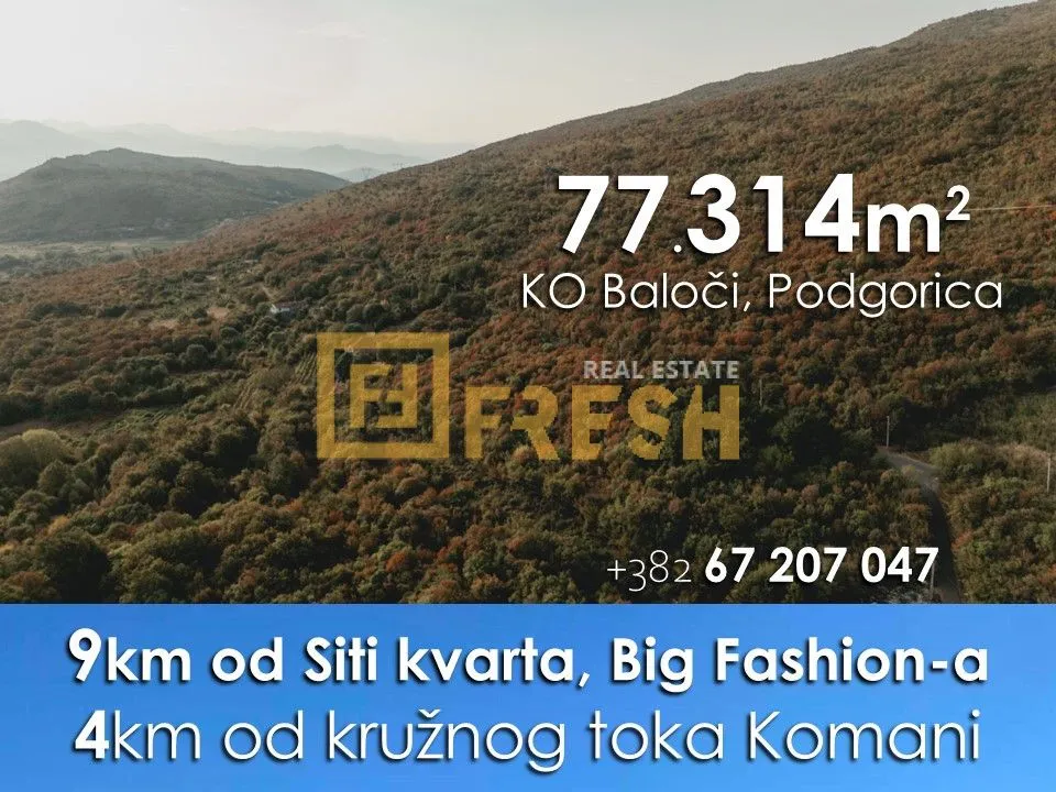 Prodaja, plac, 77314m², Ostalo, Podgorica