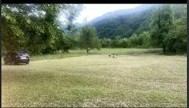 Prostrana travnata parcela okružena drvećem i planinama u pozadini.