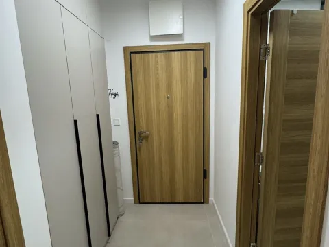 Izdavanje, jednosoban stan, 46m², New City, Podgorica - image 8