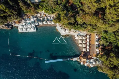 Pogled iz vazduha na plažu i obalu sa suncobranima i ležaljkama okruženu zelenilom. - image 18