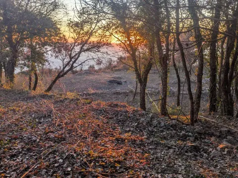 Sale, land lot, 889m², Kuljače, Budva - image 8