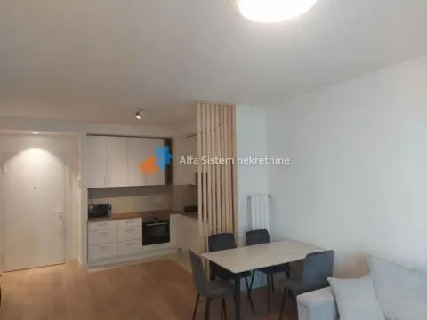 Izdavanje, dvosoban stan, 59m², Savski Venac, Beograd - image 2