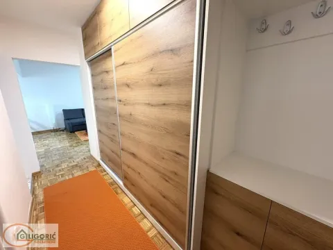 Rent, one bedroom apartment, 45m², Lion, Zvezdara Sve Podlokacije - image 10