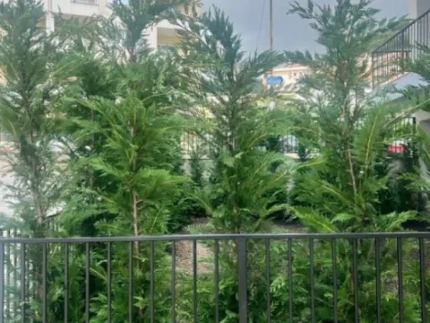 Sale, one bedroom apartment, 42m², Budva, Crna Gora