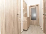 Izdavanje, jednosoban stan, 44m², Ljubović, Podgorica - image 11