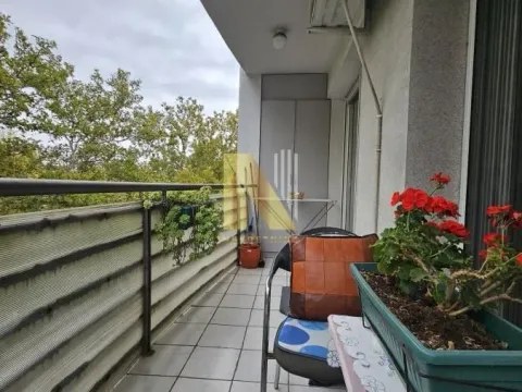 Prodaja, dvosoban stan, 44m², Cara Dušana, Novi Sad Sve Podlokacije - image 13