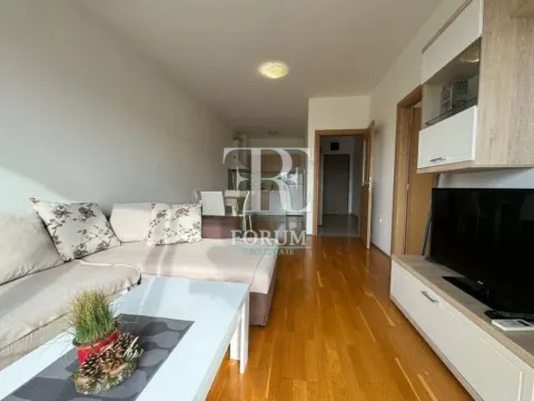 Rent, one bedroom apartment, 50m², Ljubović, Podgorica - image 4