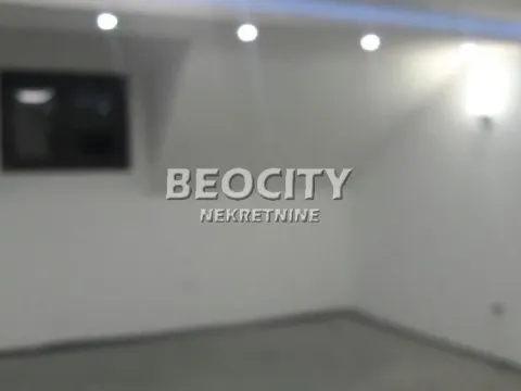 Izdavanje, poslovni prostor, 110m², Veliki Mokri Lug, Zvezdara Sve Podlokacije - image 9