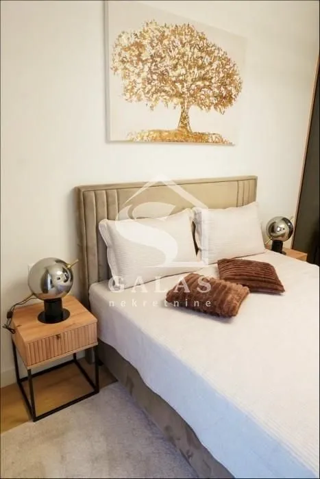 Izdavanje, dvosoban stan, 50m², Novi Beograd Blok 64, Novi Beograd Sve Podlokacije