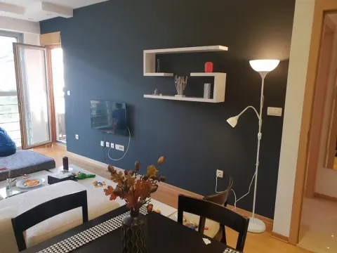Rent, one bedroom apartment, 55m², Preko Morače, Podgorica - image 10