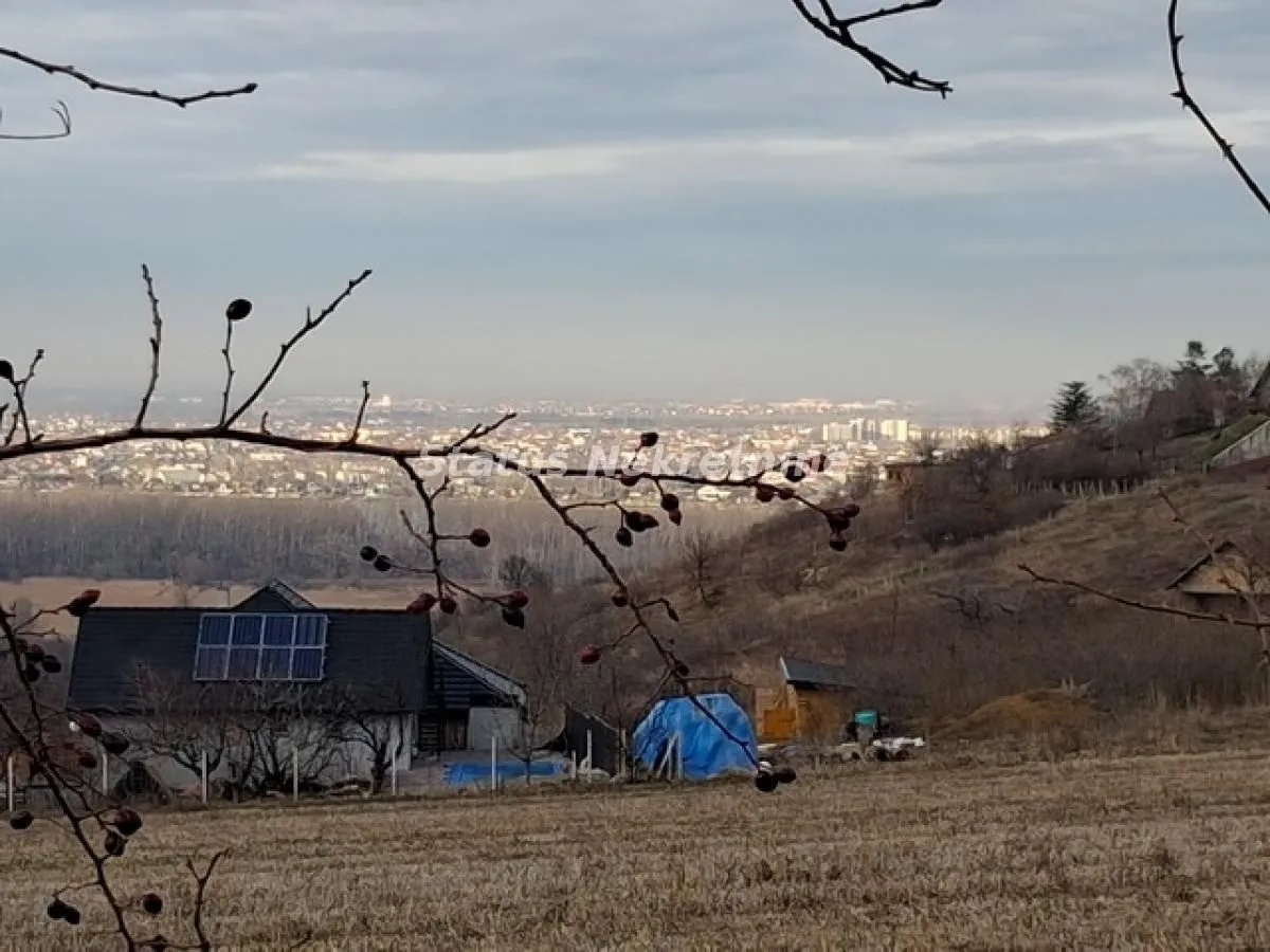 Prodaja, plac, 14994m², Ledinci, Petrovaradin