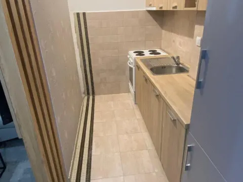 Prodaja, jednosoban stan, 42m², Ljubović, Podgorica - image 3