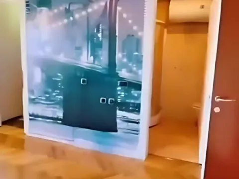 Prodaja, stan, 365m², Podgorica, Crna Gora - image 5