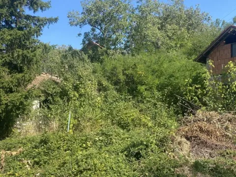 Prodaja, plac, 1290m², Jajinci, Voždovac Sve Podlokacije - image 5