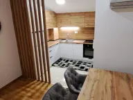 Izdavanje, jednosoban stan, 42m², Stari Aerodrom, Podgorica - image 13