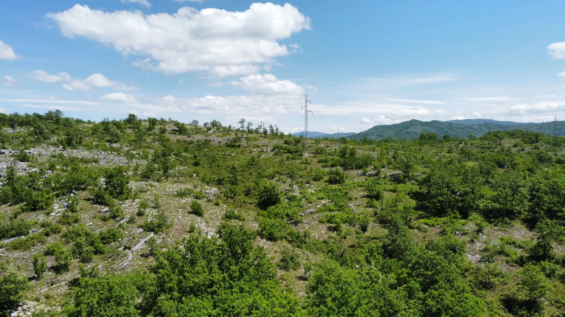 Prodaja, plac, 300000m², Rudine, Nikšić