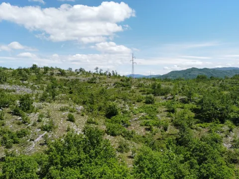 Prodaja, plac, 300000m², Rudine, Nikšić - image 6