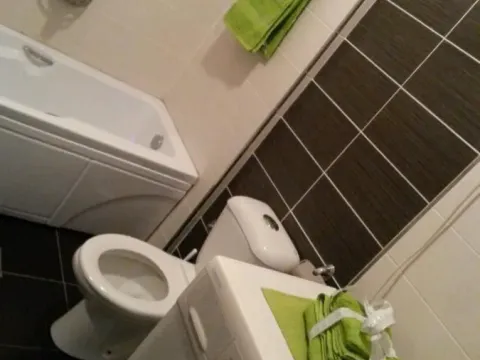 Izdavanje, dvosoban stan, 48m², Grbavica, Novi Sad Sve Podlokacije - image 21