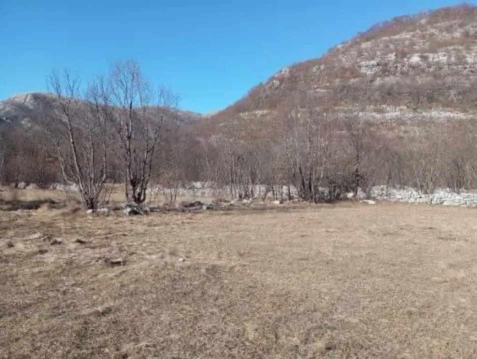 Sale, land lot, 2000m², Herceg Novi, Crna Gora