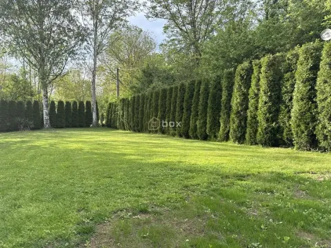 Prodaja, kuća, 83m², Bela Palanka, Srbija - image 7