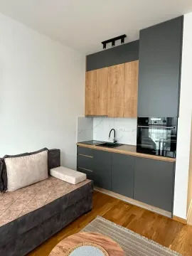 Rent, studio apartment, 24m², Zabjelo, Podgorica - image 3