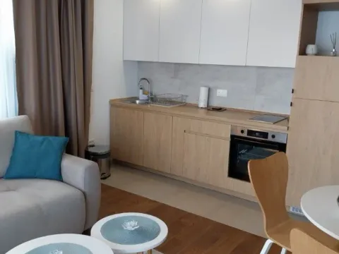 Sale, two bedroom apartment, 52m², Zlatibor, Srbija - image 10